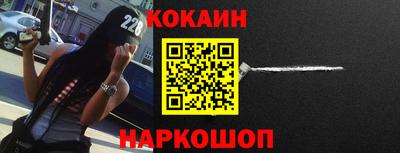крисы Кулебаки