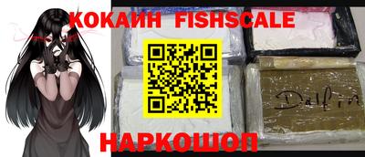 крисы Кулебаки