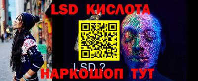 крисы Кулебаки