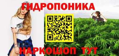 крисы Кулебаки