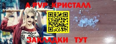 крисы Кулебаки