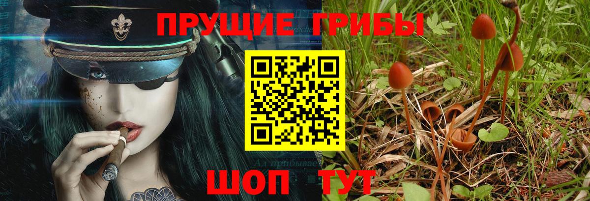Соль-Илецк  Галлюциногенные грибы мицелий  Вход с VPN 